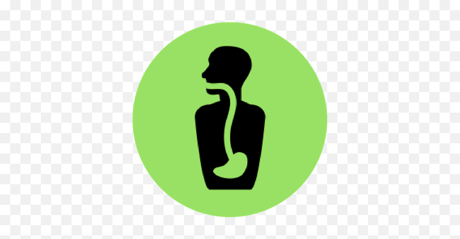 Abundant Performance Rogers Chiropractor - Language Png,Gi Tract Icon