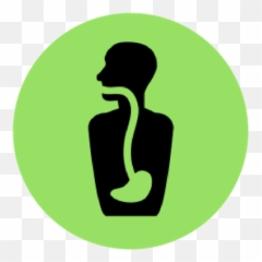 Abundant Performance Rogers Chiropractor - Language png