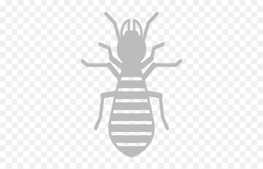 Residential Pest Control Packages The Bug Master - Parasitism Png,Pest Icon