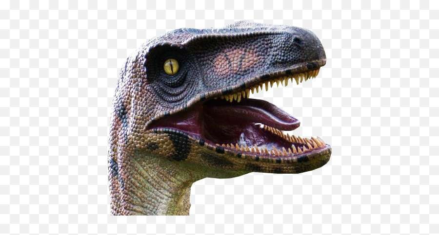 Velociraptor Head Transparent Background Free Png Images - Velociraptor Head Transparent Background,Animal Head Png