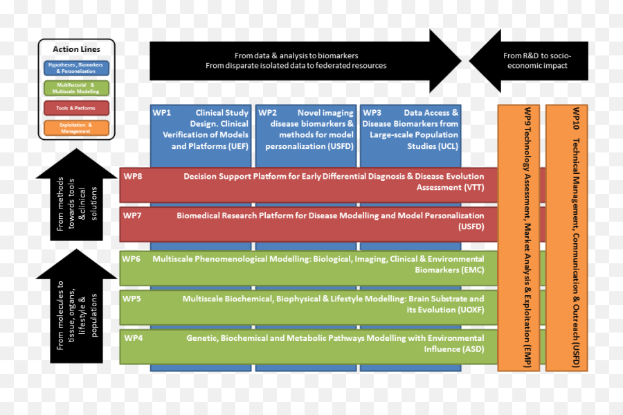 Work Packages - New Clinical Model Work Plan Png,Action Lines Png