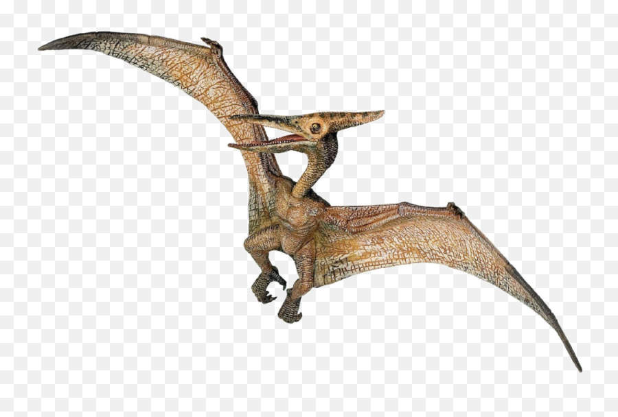 Hd Jurassic Park Playfield Pterodactyl - Pteranodon Dinosaur Png,Pterodactyl Png