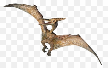 Hd Jurassic Park Playfield Pterodactyl - Pteranodon Dinosaur Png,Pterodactyl Png