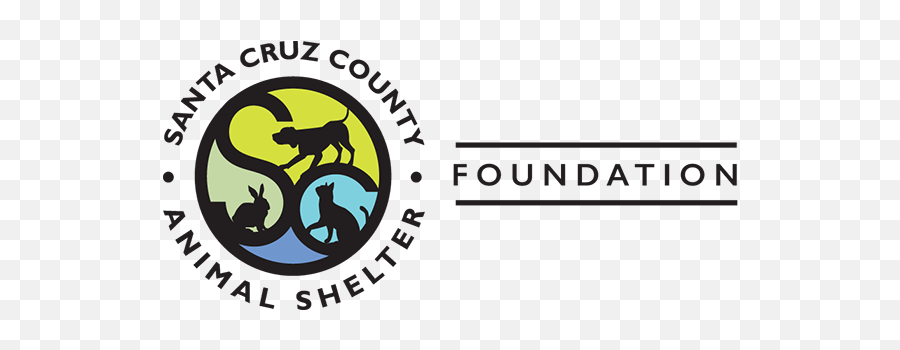 Santa Cruz County Animal Shelter Foundation U2014 Amazon Smile - Santa Cruz Animal Shelter Png,Amazon Smile Png
