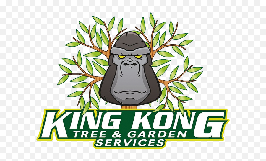 Home - King Kong Tree Services Old World Monkey Png,King Kong Png