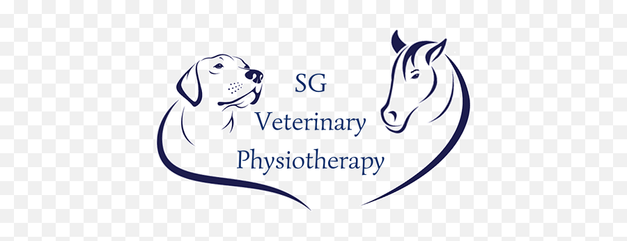 Sg Veterinary Physiotherapy - Labrador Retriever Png,Dog Head Png