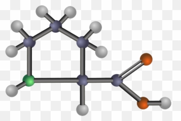 Amino Acid Png Clipart - Amino Acid Clipart,Acid Png