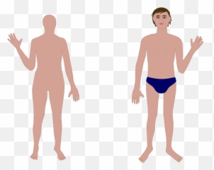 Human Body Outline Png - ClipArt Best Parts Without Names