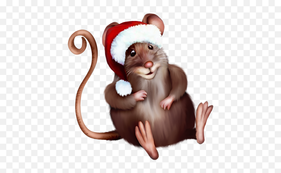 Tubes Animaux Varies Png - Mouse In Santa Hat,Cartoon Santa Hat Png