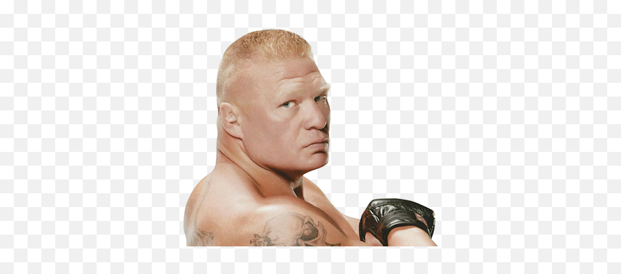 Brock Lesnar Projects - Boxing Png,Brock Lesnar Transparent