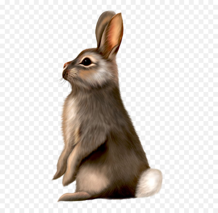 Painted Brown Bunny Clipart - Animal Png,White Bunny Png