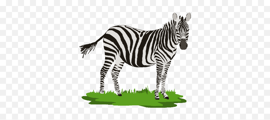 Zebra Clipart Png - Zebra Png Clip Art,Zebra Transparent Background