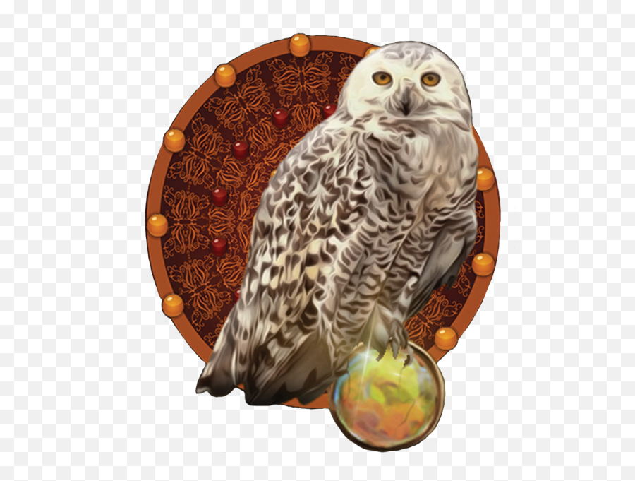 Annie Parnell - Snowy Owl Png,Owl Logo
