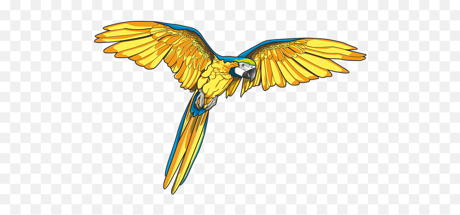 80 Free Parrot U0026 Bird Vectors - Pixabay Macaw Art Png,Parrot Transparent