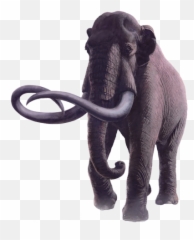 A Gigantic Family Reunion - La Brea Tar Pits Mammoths And Mastodons Png,Mammoth Png
