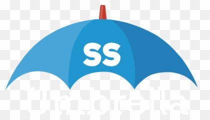Contractor Agency Working Via An Umbrella Company - SS Kiri Vehera png