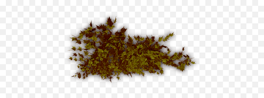Index Of - Hornwort Png,Creepers Png