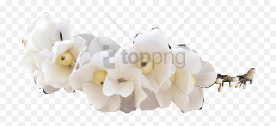 Download Free Png Tumblr Transparent Flower Crown Image - Soft,Flower Crown Transparent Tumblr