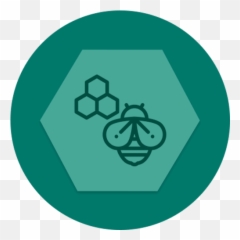 App Icon Color Was Different While - Language png