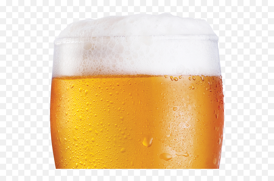 Xtraflexmaster - Beer Glassware Png,Accuflex Icon Shaft