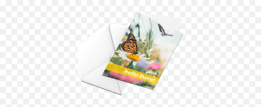 Send A Card To Resident - Madonna Manor Chi Living Monarch Butterfly Png,Icon Viceroy