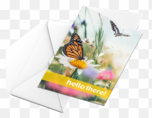 Send A Card To Resident - Madonna Manor Chi Living Monarch Butterfly Png,Icon Viceroy