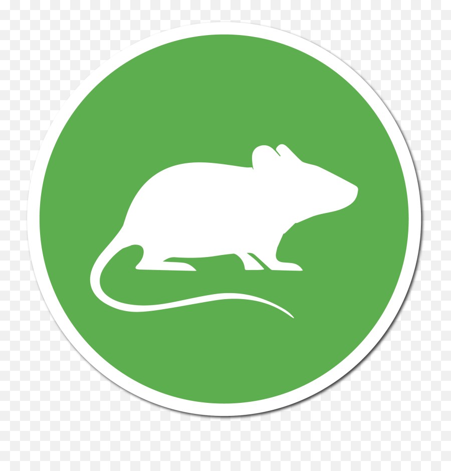 Small Mammal Fencing Animex - Animal Figure Png,Meadow Icon