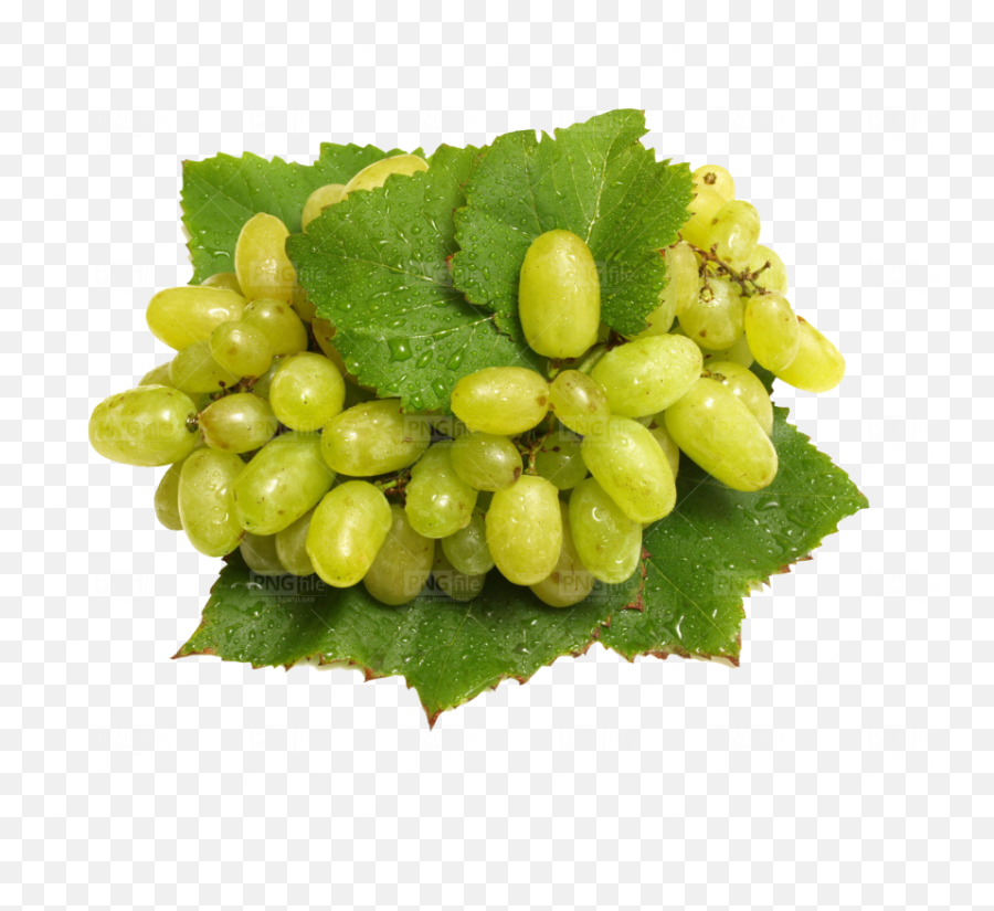 Grapes Png Free Download - Photo 291 Pngfilenet Free Fruits And Vegetables,Grapes Png