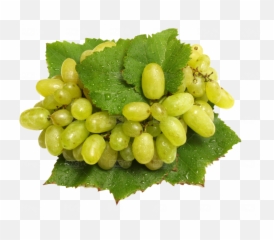 Grapes Png Free Download - Photo 291 Pngfilenet Free Fruits And Vegetables,Grapes Png