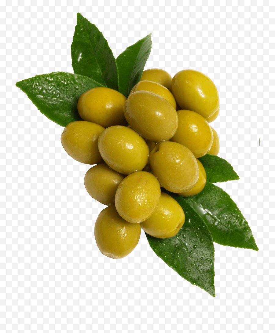 Olives - Green Olives Png,Olive Png