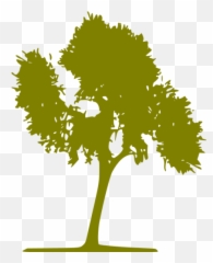 Olive Tree 33 Icon - Free olive icons Mashjar Juthour png