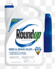 Roundup Ready - Touse Weed U0026 Grass Killer Iii Grass Killer Roundup Png,Weeds Png