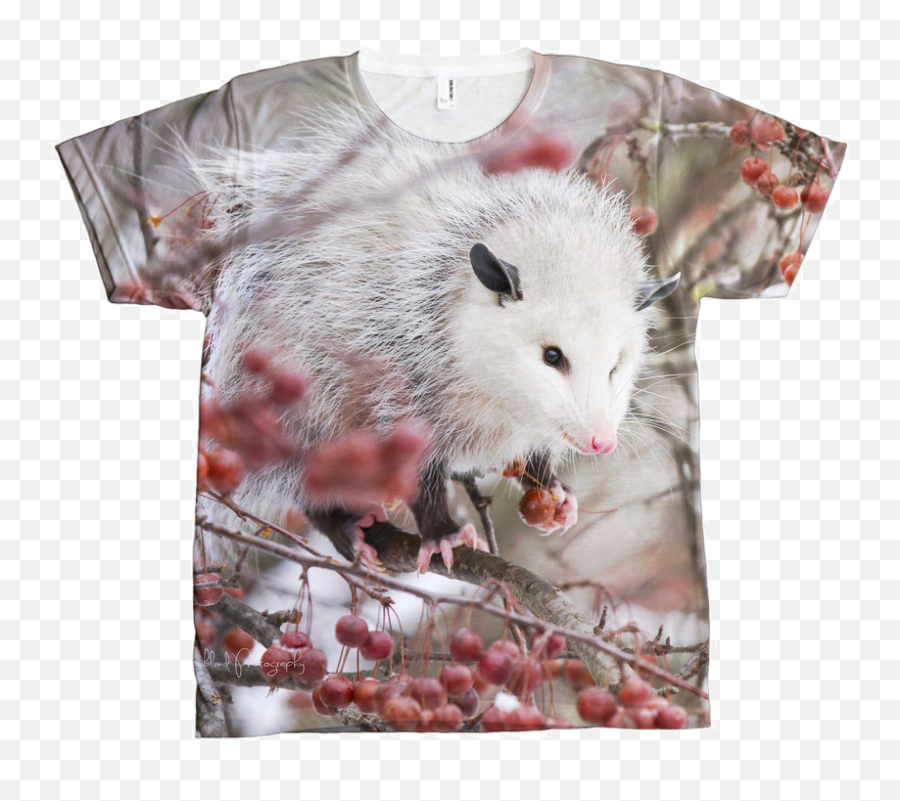Snowpossum Shirt Opossum My Possum - Common Opossum Png,Opossum Png