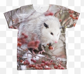 Snowpossum Shirt Opossum My Possum - Common Opossum Png,Opossum Png
