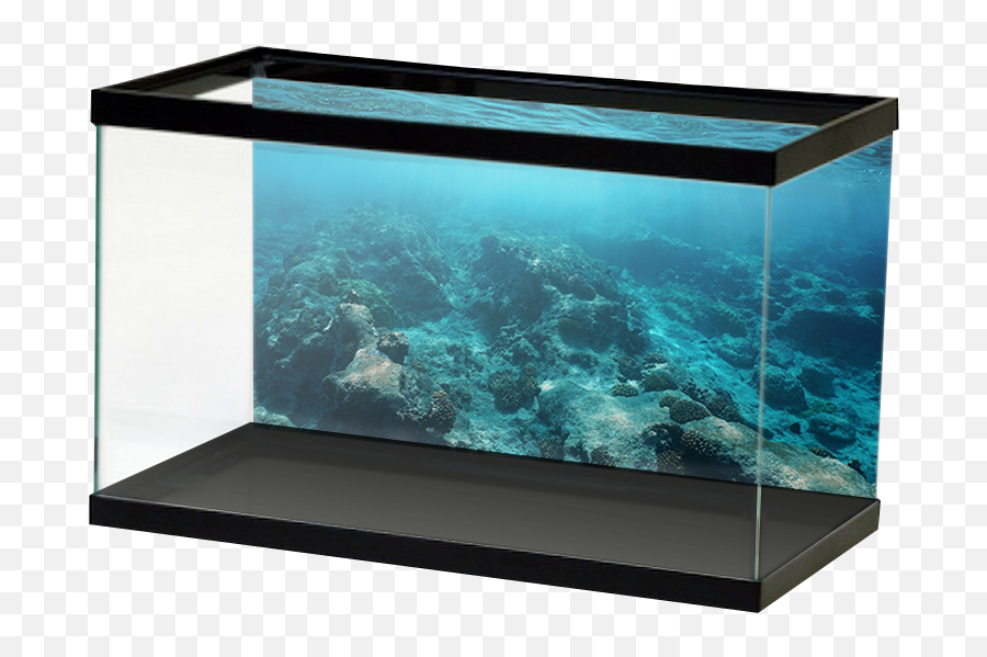 Dark Blue Reef And Water Surface - Aquarium Stone Wall Background Png,Water Surface Png