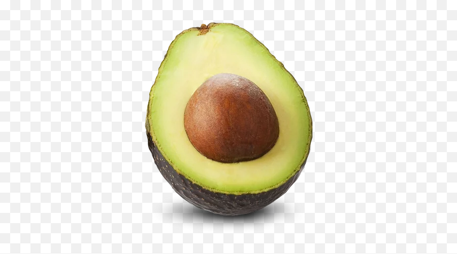 Inicio - Hass Avocado Png,Aguacate Png