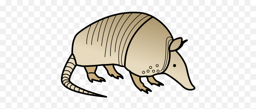 Armadillo In Arasaac Global Symbols - Big Png,Armadillo Png