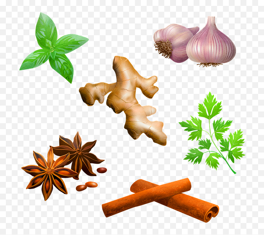 Spices Garlic Peppermint - Free Image On Pixabay Boost Your Immunity Clipart Png,Cinnamon Png