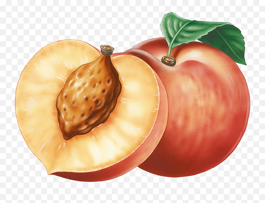 Peach High Quality Png - Transparent Background Peach Vector,Peach Transparent Background