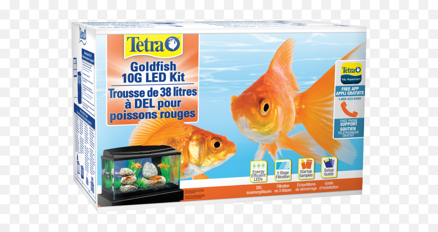 Goldfish Led Aquarium Kit Tetra - Tetra Goldfish 10g Led Kit Png,Goldfish Transparent