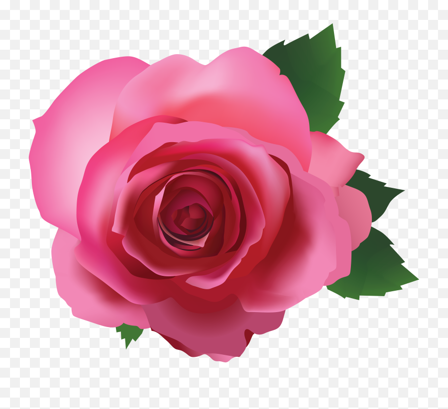Transparent Rose Png - Pink Flower Transparent Background Transparent Background Pink Rose Clipart,Rose Png Hd