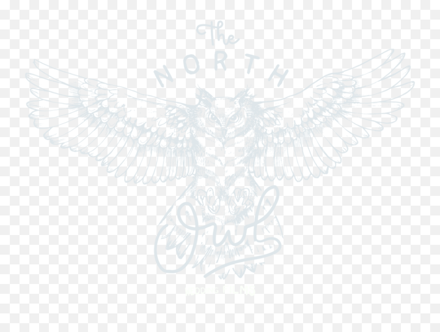 The North Owl Png