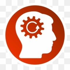 Set Up Your Ea Program - Camera Icon png