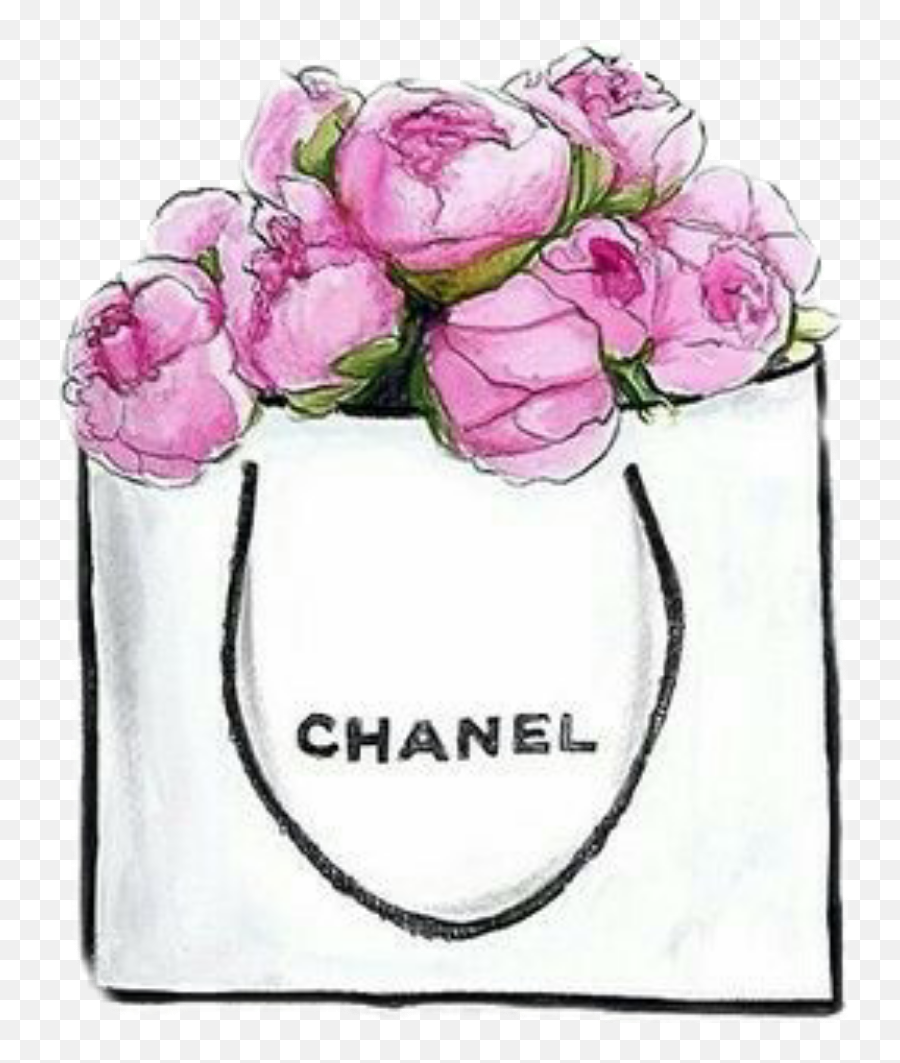 No - Draw A Chanel Bag Png,Kiera Knightley Tumblr Icon