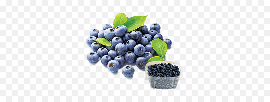 Blueberryfest 2020 Longou0027s - Blueberry 125g Png,Blueberries Icon