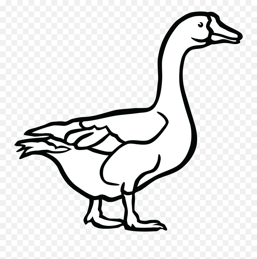 duck black and white clipart