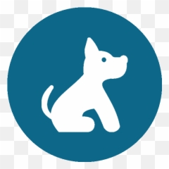 Dog Training And Boarding - The Canine Ranch Terrier png