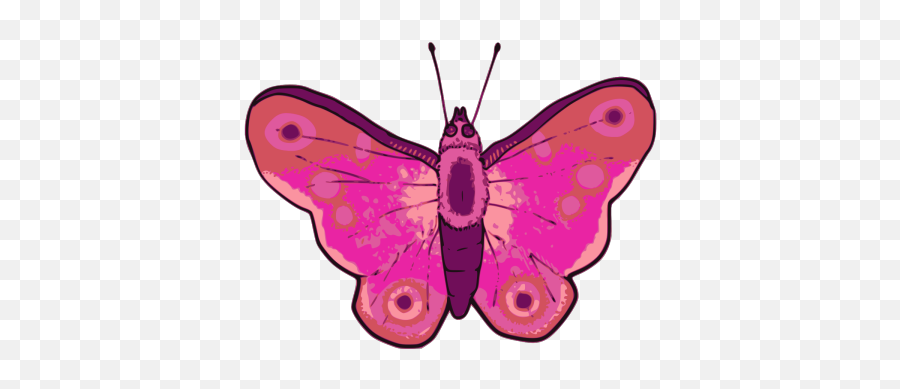 Pink Sweaty Png Svg Clip Art For Web - Download Clip Art Coloridas Png Borboleta Rosa Imagens De Borboletas Para Imprimir,Sweating Icon