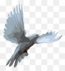 Ilustración De La Paloma - Transparent Dove Vector Png,Paloma Png