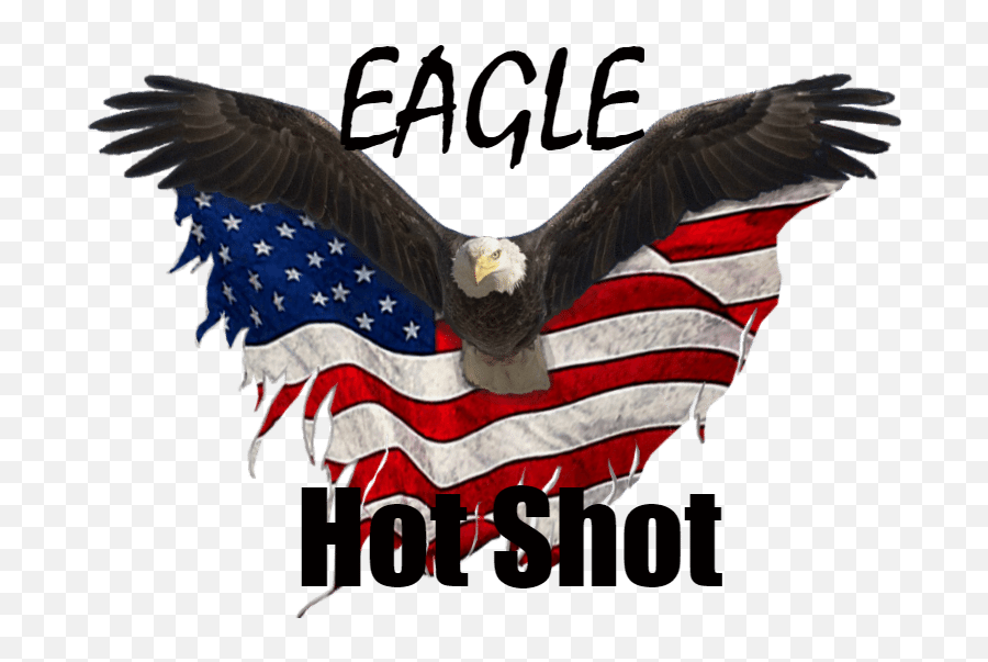 Eagle Hot Shot Transport Service 918 884 - 9421 Eagle United States Logo Png,Bald Eagle Transparent